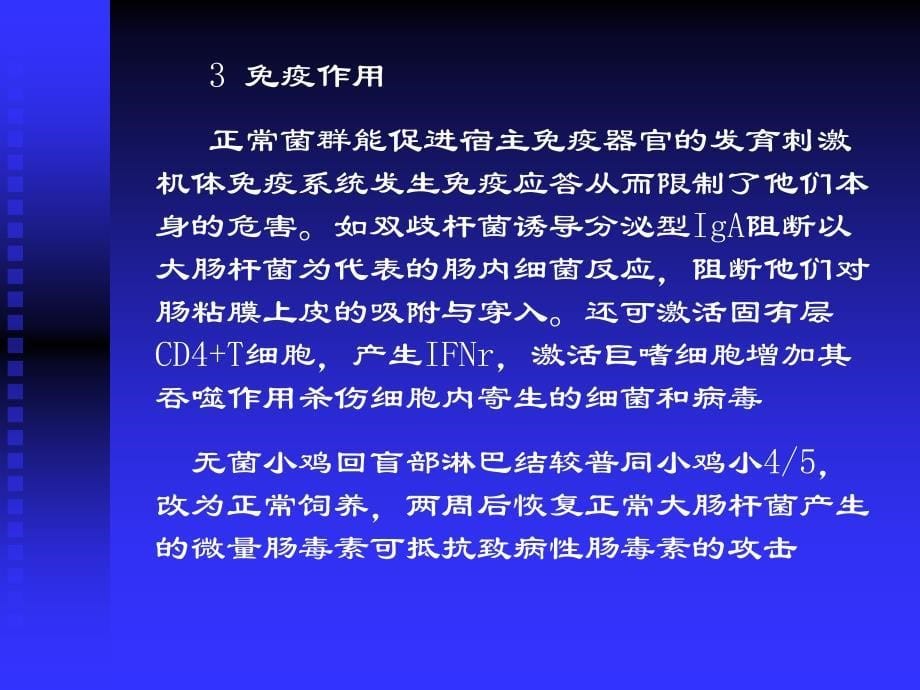 细菌的致病性及感染课件_第5页