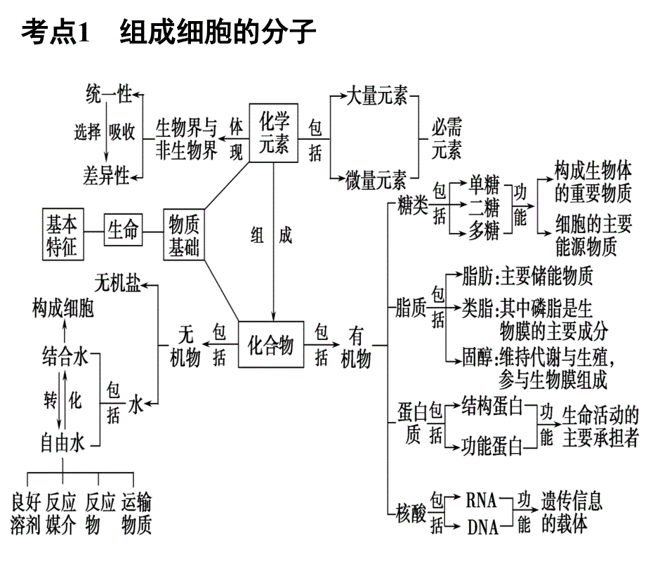 高三生物二轮专题复习_第2页