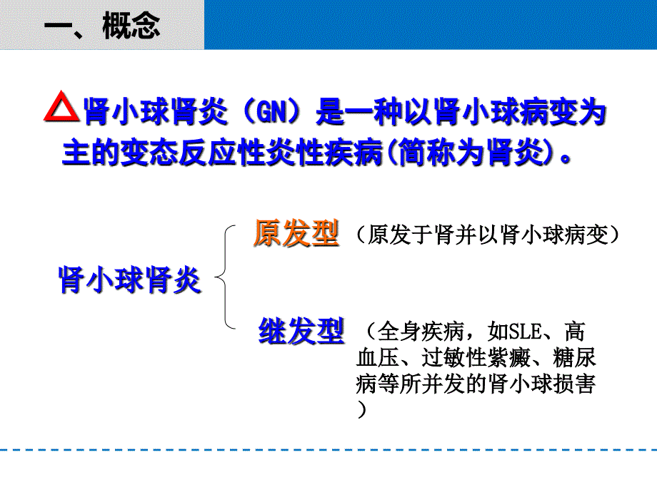 病理肾小球肾炎课件.ppt_第2页