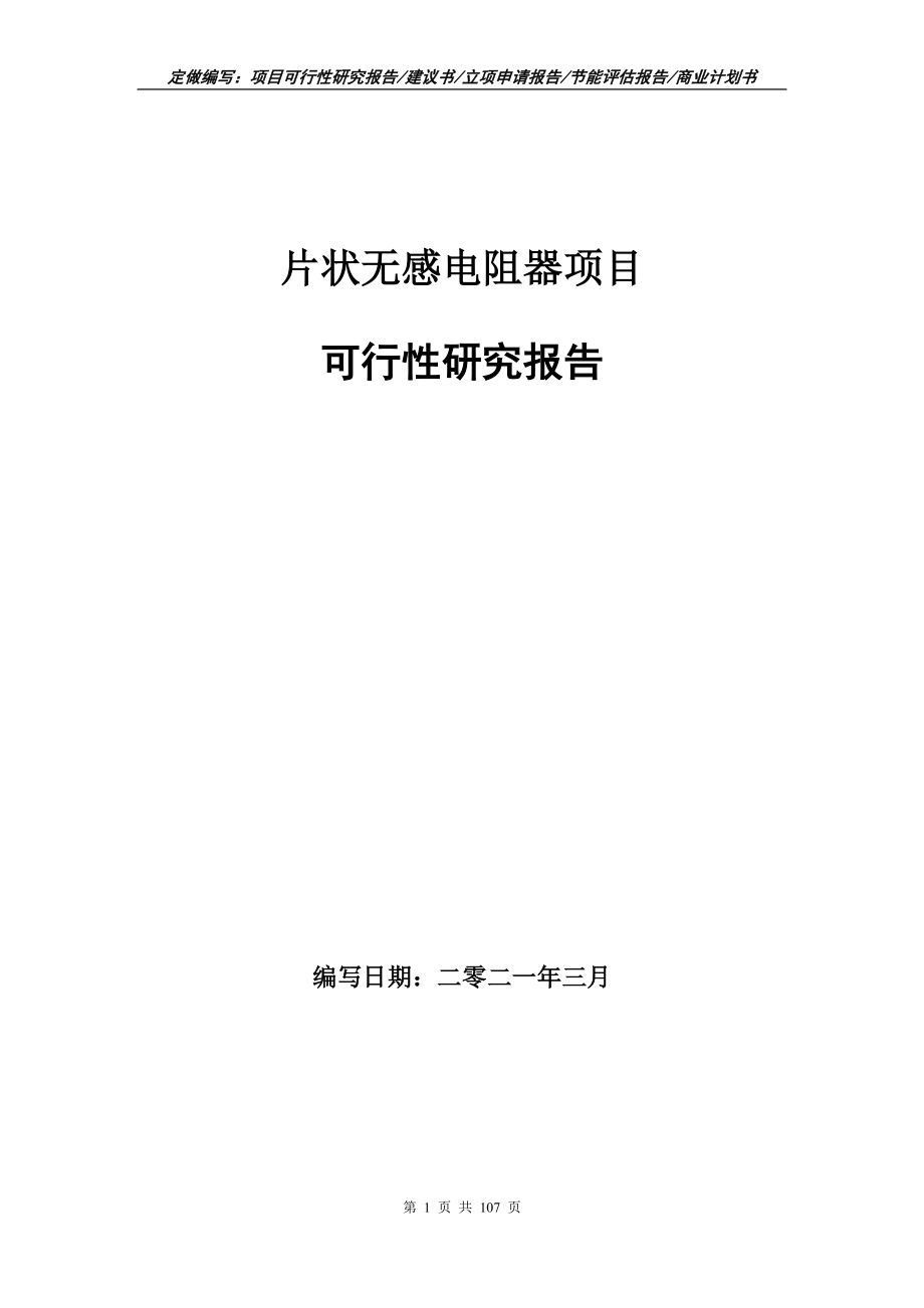 片状无感电阻器项目可行性研究报告立项申请_第1页