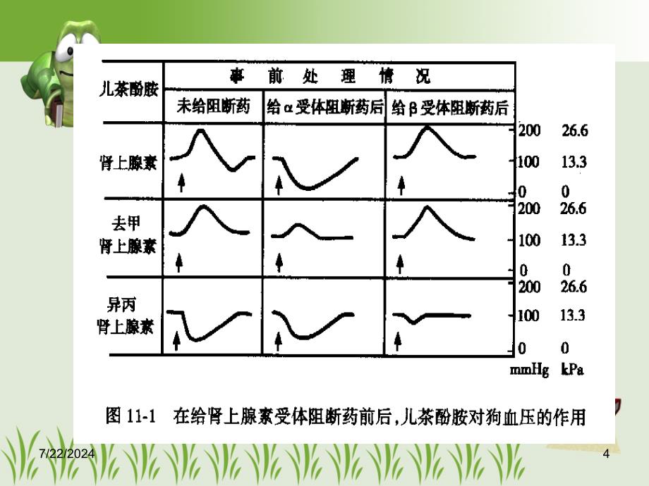 药理学第9章-肾上腺受体阻断药课件_第4页