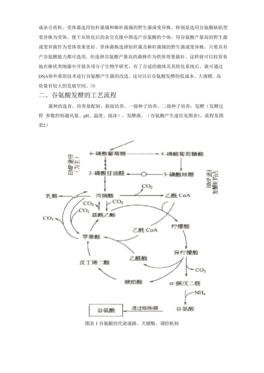 谷氨酸发酵工艺流程1_第3页