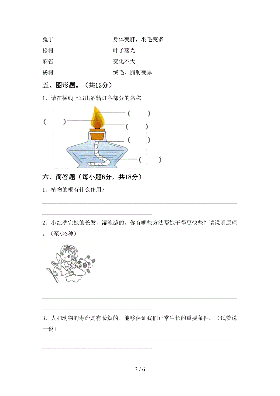 新教科版三年级科学上册期中考试及答案免费.doc_第3页