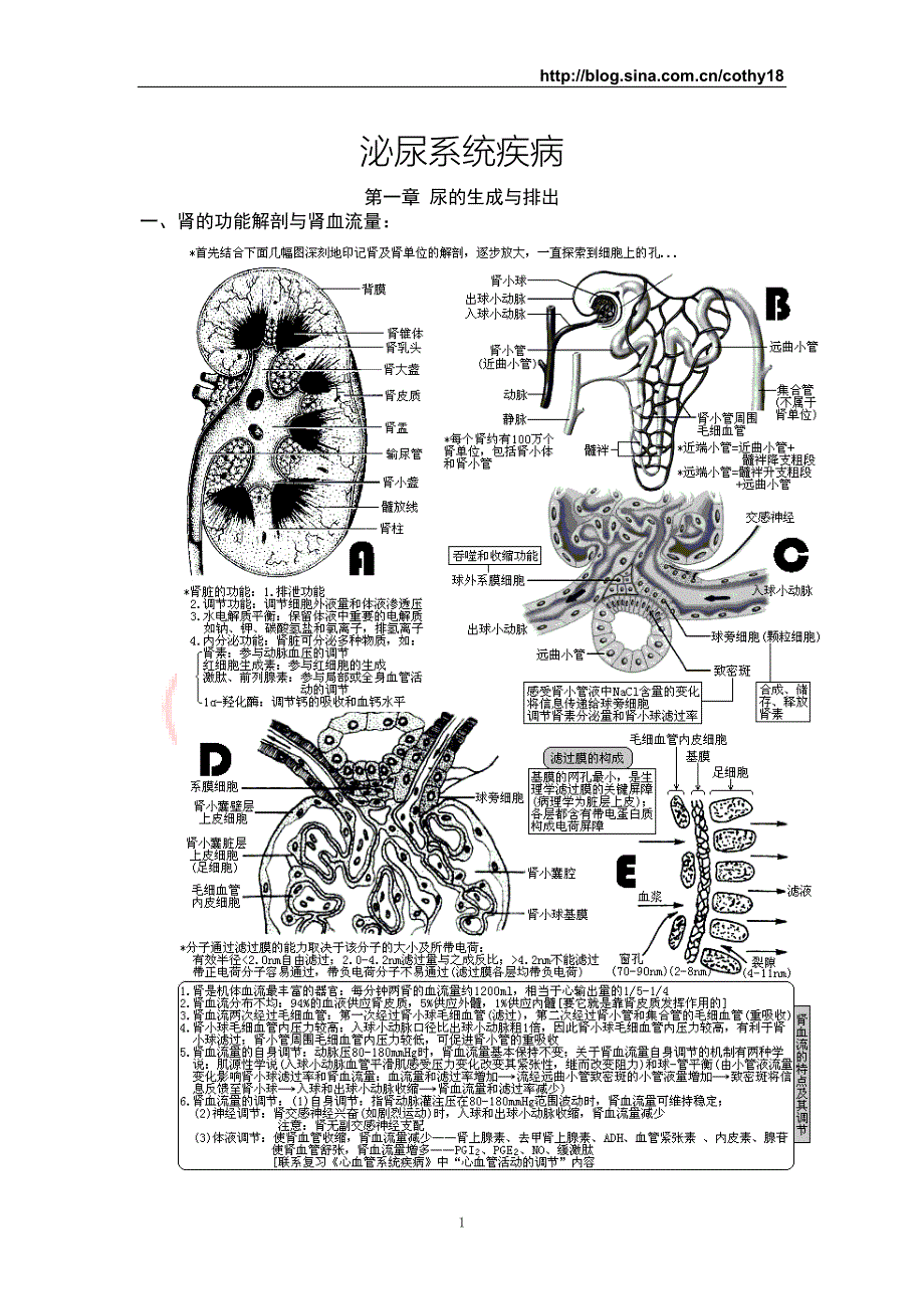 FreeKaoYan西医综合&#183;泌尿系统疾病(生理 病理 内科 外科).doc_第1页