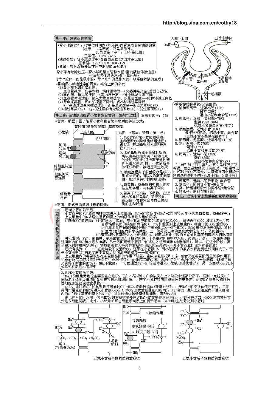 FreeKaoYan西医综合&#183;泌尿系统疾病(生理 病理 内科 外科).doc_第3页