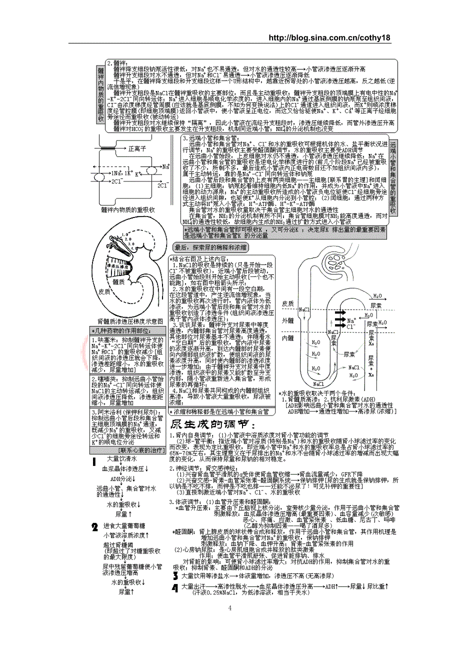 FreeKaoYan西医综合&#183;泌尿系统疾病(生理 病理 内科 外科).doc_第4页