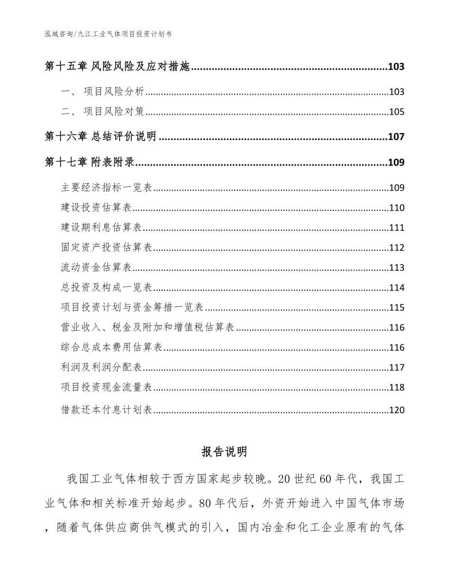 九江工业气体项目投资计划书范文_第5页
