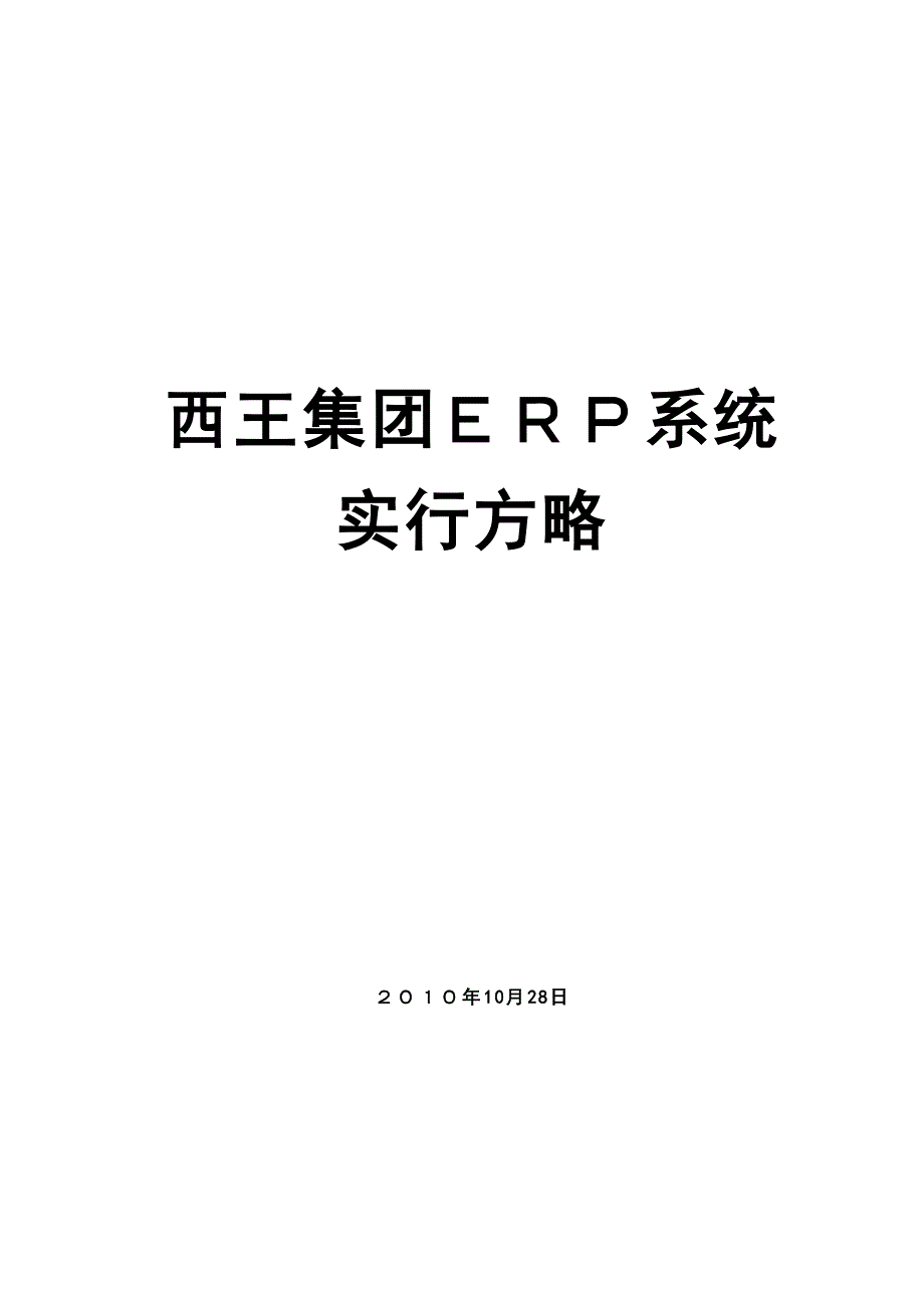 西王集团ERP系统实施策略1028_第1页