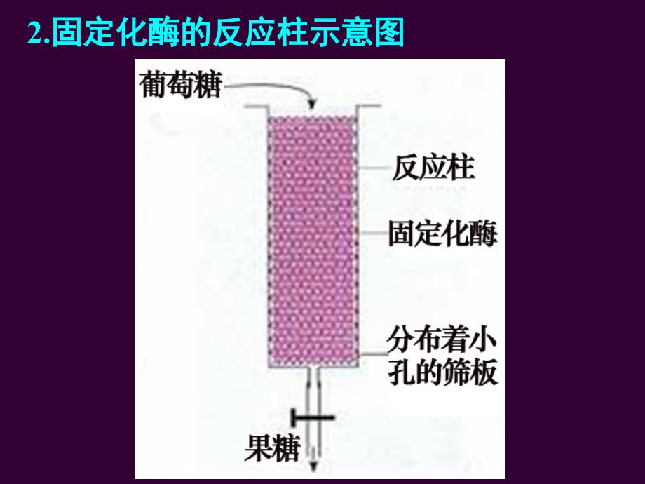 酵母细胞的固定化_第4页