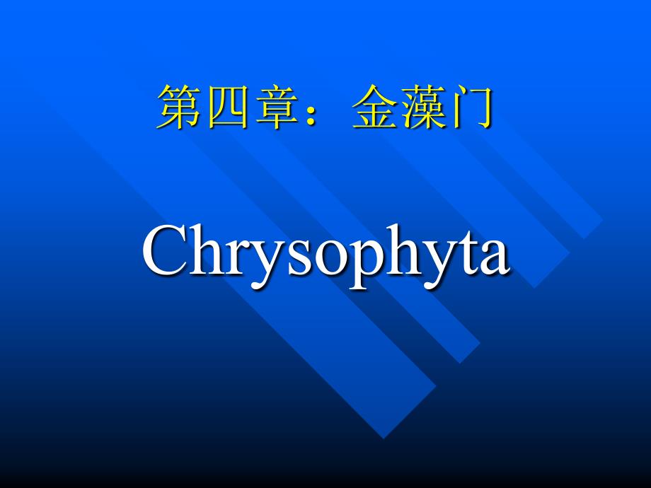 第四部分金藻门_第1页