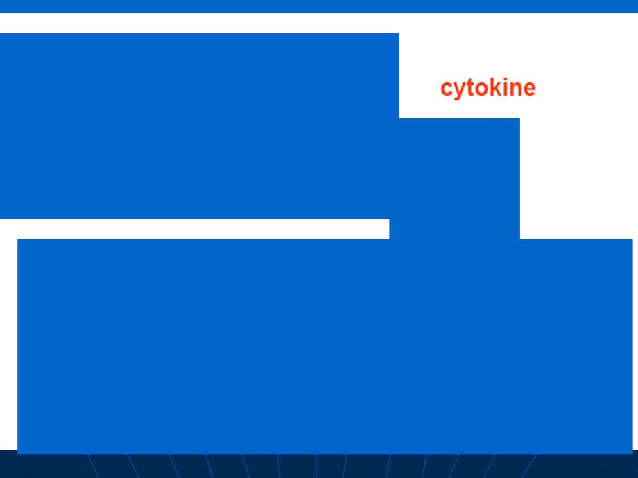白细胞介素ppt课件_第2页
