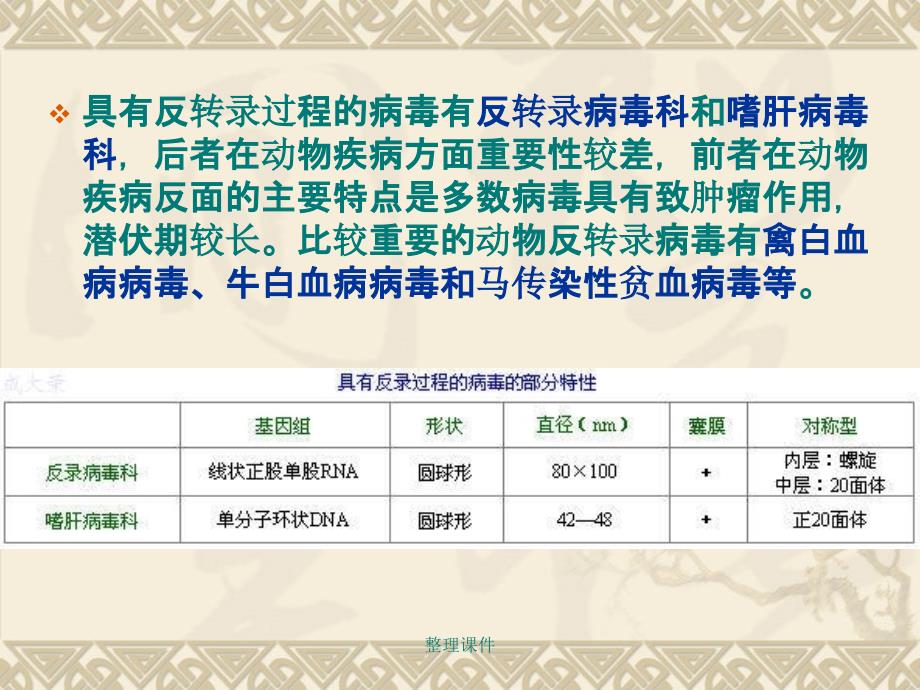 兽医微生物学教学14.逆转录病毒_第2页