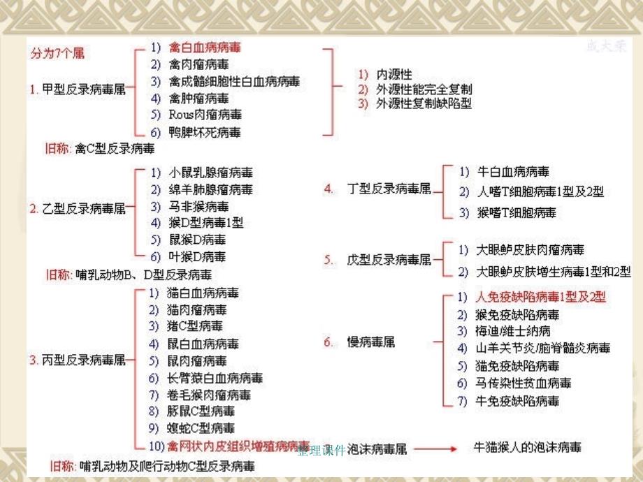 兽医微生物学教学14.逆转录病毒_第4页