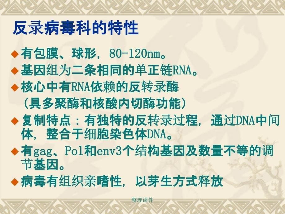 兽医微生物学教学14.逆转录病毒_第5页