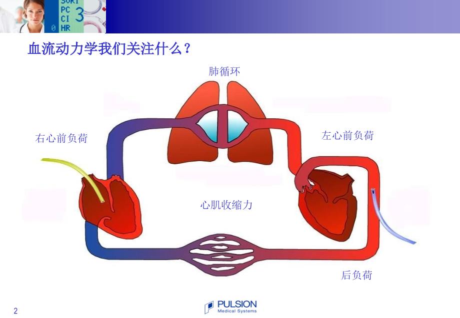 PiCCO基本原理与参数解读_第2页