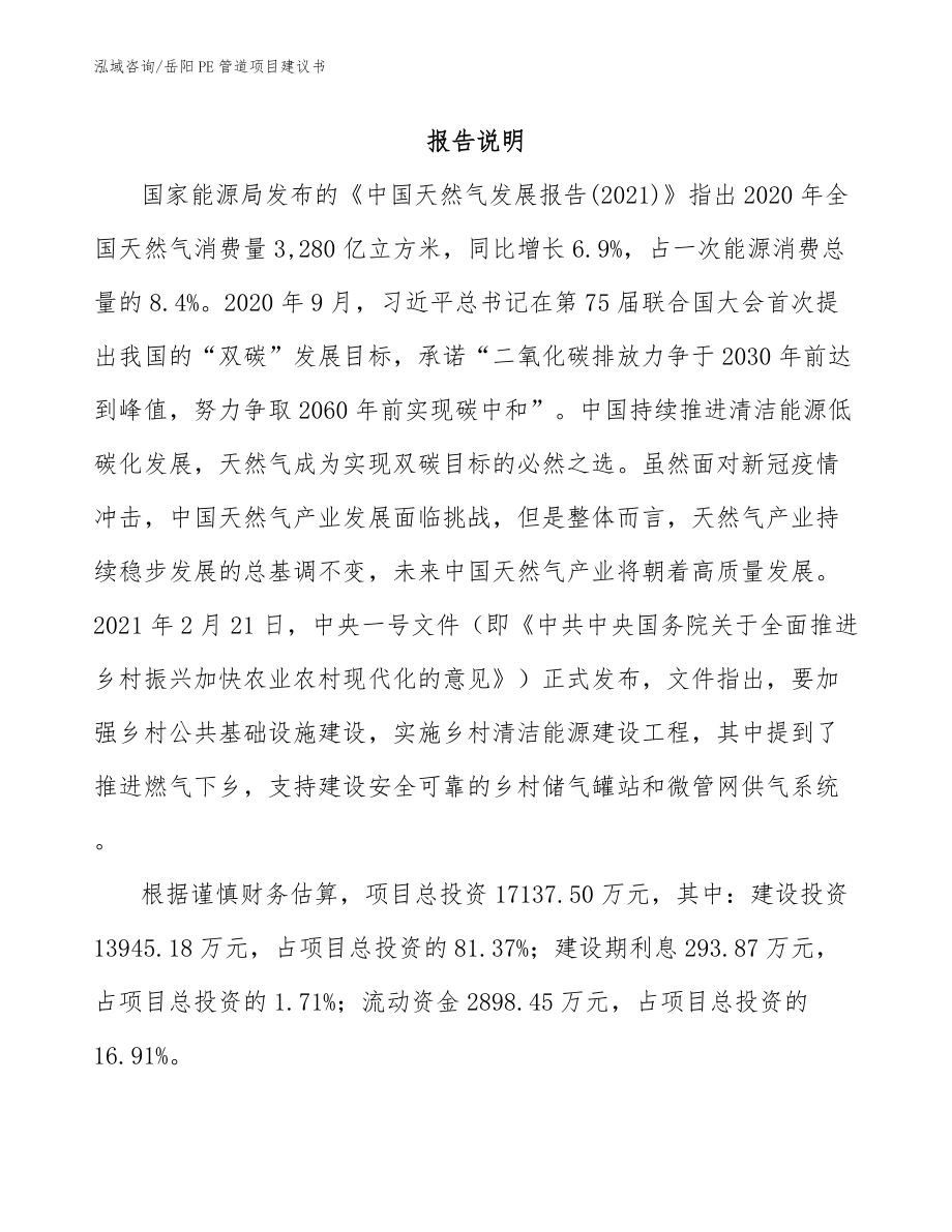 岳阳PE管道项目建议书（模板）_第2页