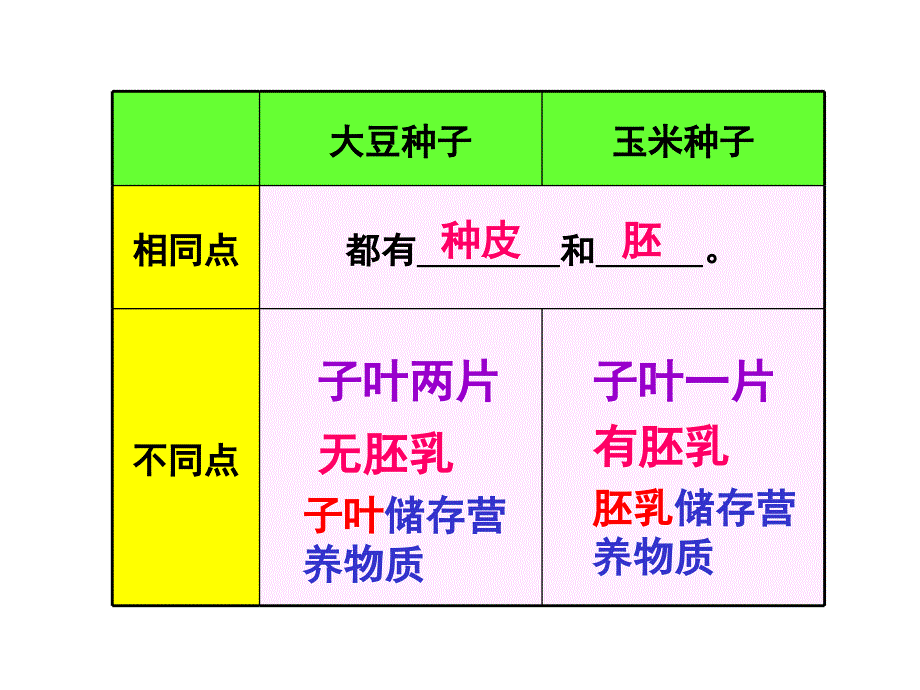 2022第一节种子的萌发_第4页