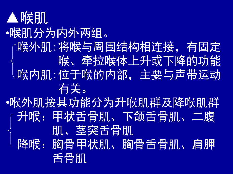 喉弹性膜此膜为一宽阔弹性组织左右各一被喉室分为_第3页