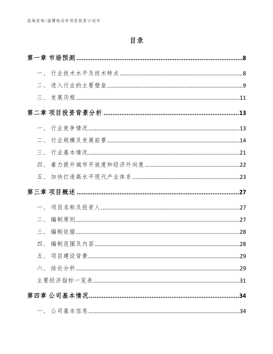 淄博电动车项目投资计划书模板范文_第2页