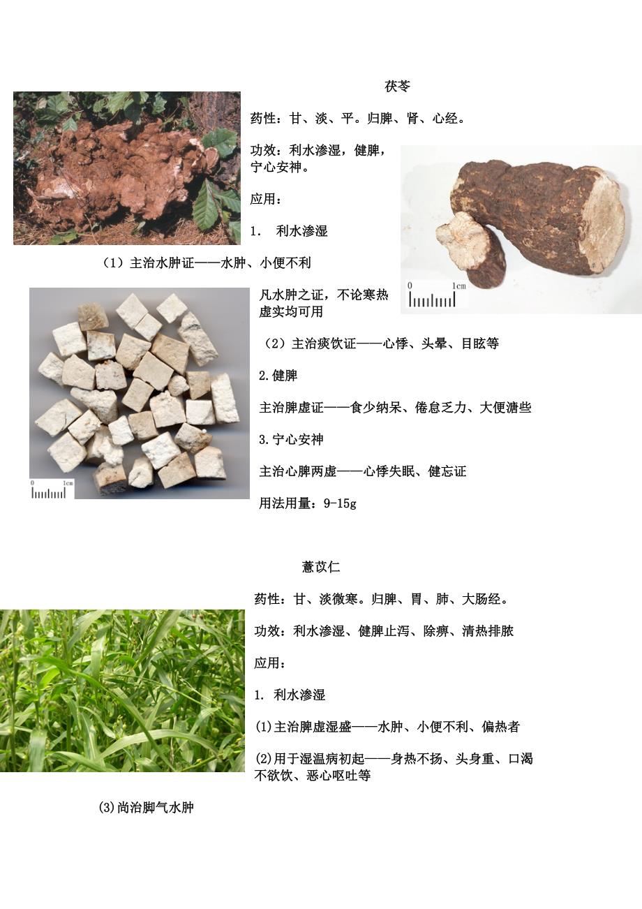 利水渗湿药李芬.doc_第1页