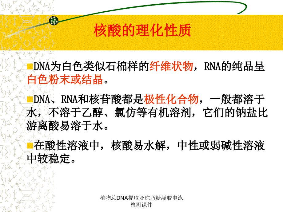 植物总DNA提取及琼脂糖凝胶电泳检测课件_第4页