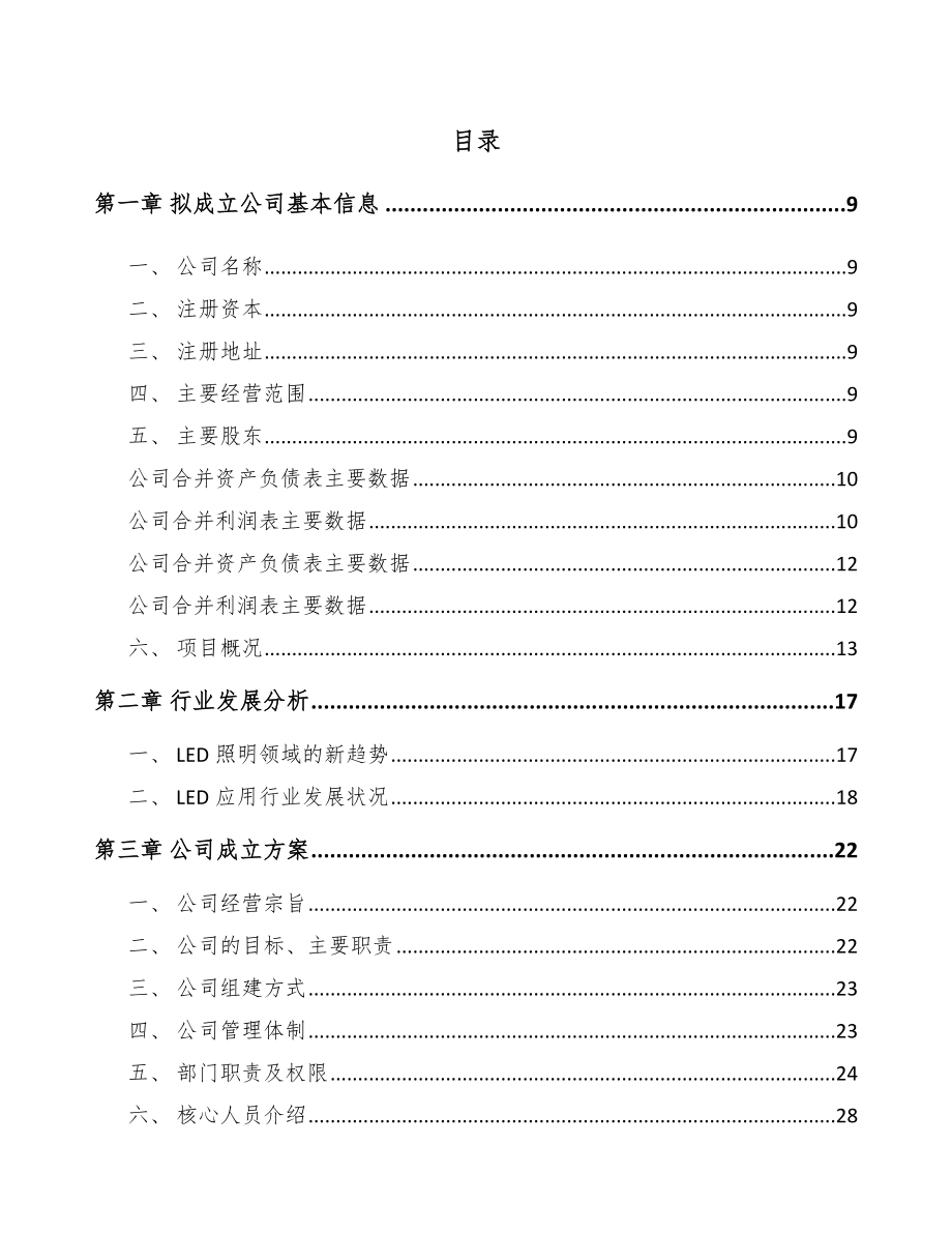 宁波关于成立LED模组公司可行性研究报告_第2页