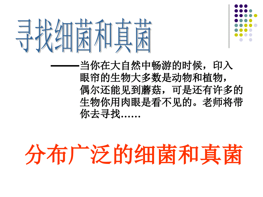 人教版生物八年级下册教学课件第五单元第4章第一节细菌和真菌的分布_第2页