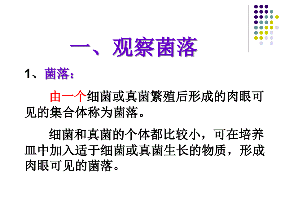 人教版生物八年级下册教学课件第五单元第4章第一节细菌和真菌的分布_第4页