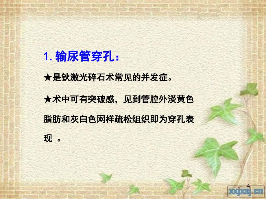 输尿管镜钬激光并发症ppt课件_第4页