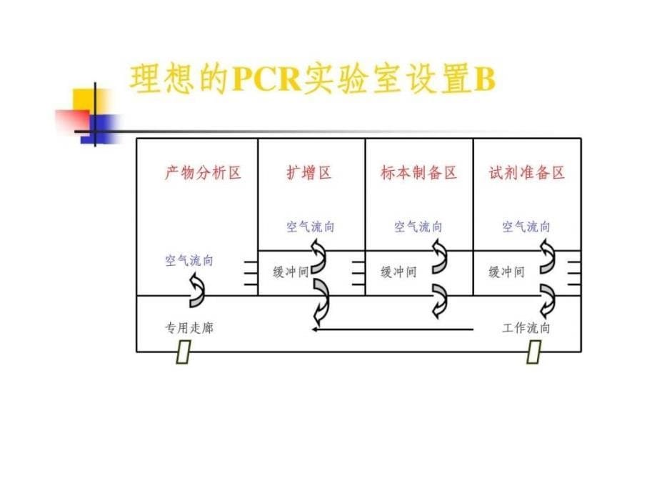 临床基因扩增检验实验室的设置及质量管理体系的建立_第5页