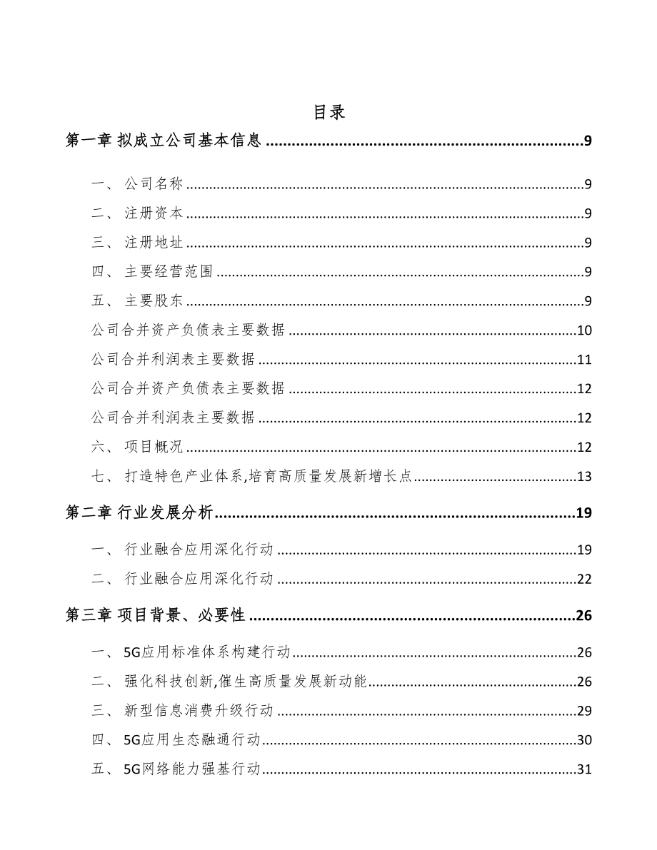 潍坊关于成立5G+智能采矿公司可行性研究报告(DOC 94页)_第3页