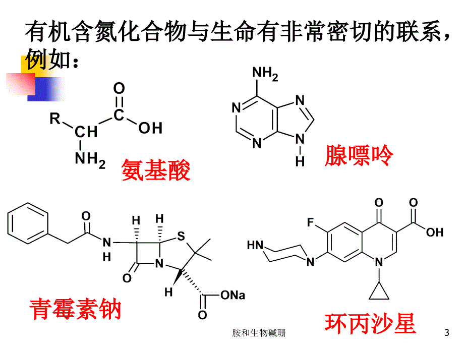 胺和生物碱珊课件_第3页