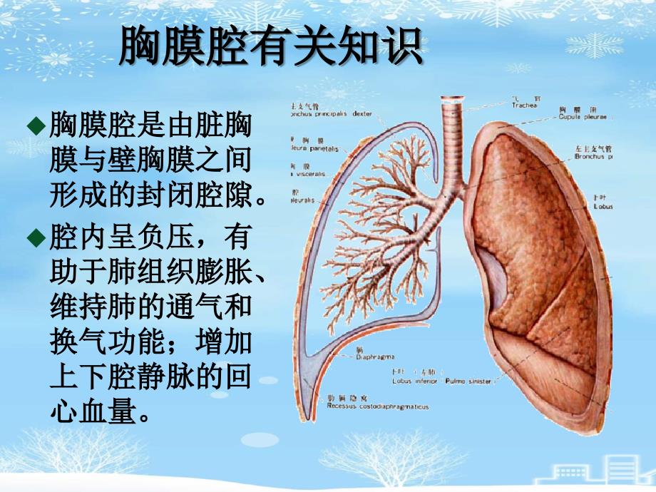 胸腔闭式引流的观察与护理2021完整版课件_第3页