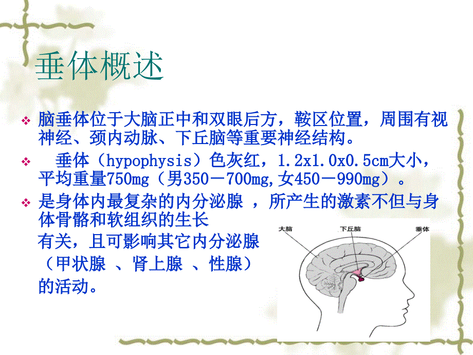 最新十月垂体瘤护理查房精品课件_第2页