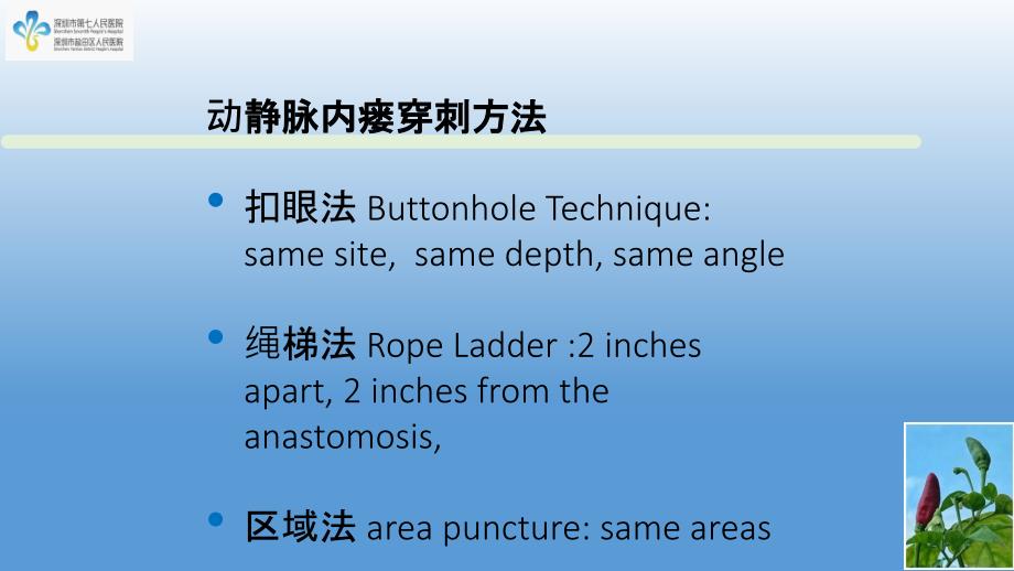 内瘘穿刺术扣眼钝针穿刺培训ppt课件_第3页