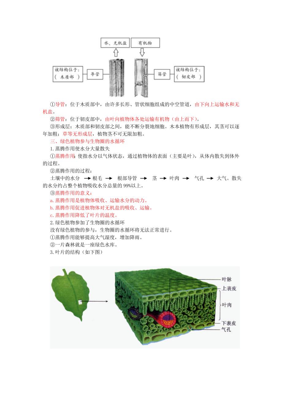 中考生物复习绿色植物的生活需要水和无机盐1_第2页