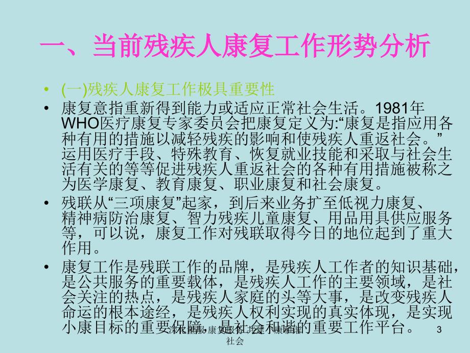 深化量服康复服务共建小康和谐社会课件_第3页