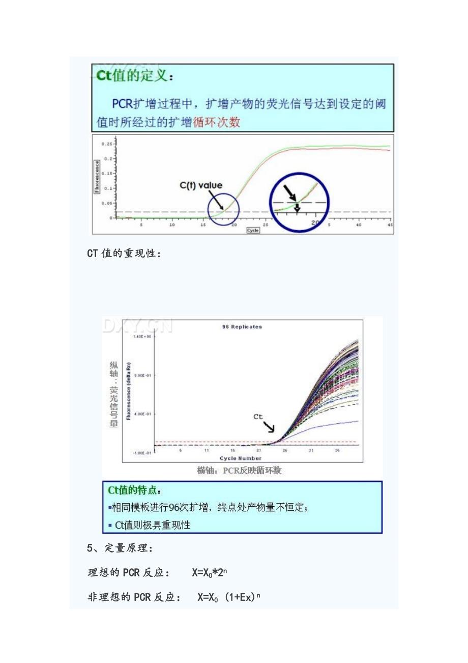 realtimePCR和RTPCR详解及其区别._第3页