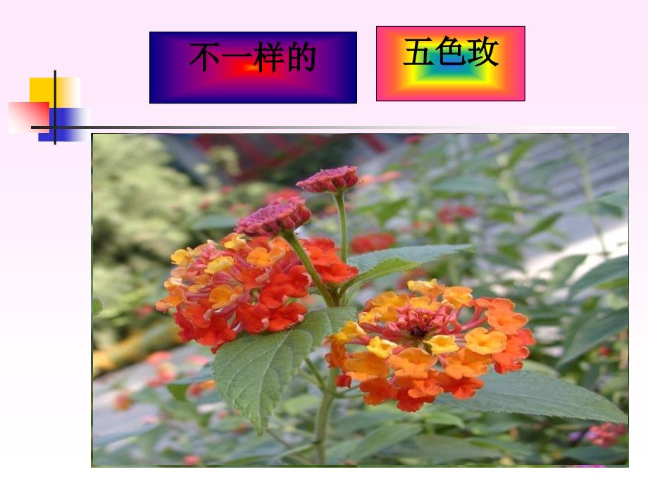 生物的变异全面版课件_第4页