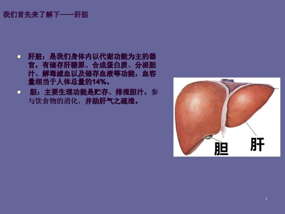 肝胆排毒原理ppt课件_第2页