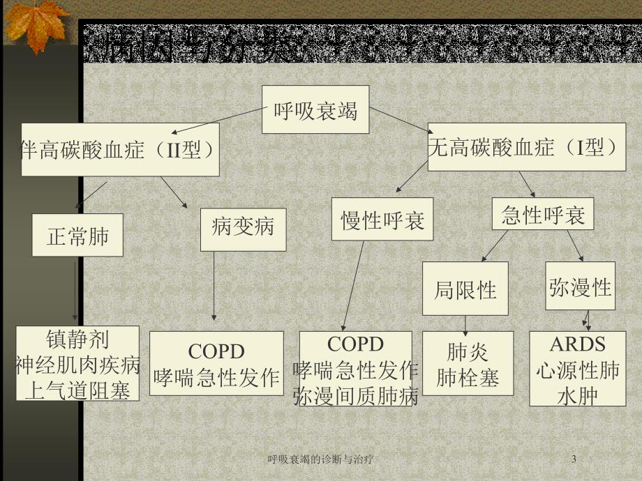 呼吸衰竭的诊断与治疗培训课件_第3页