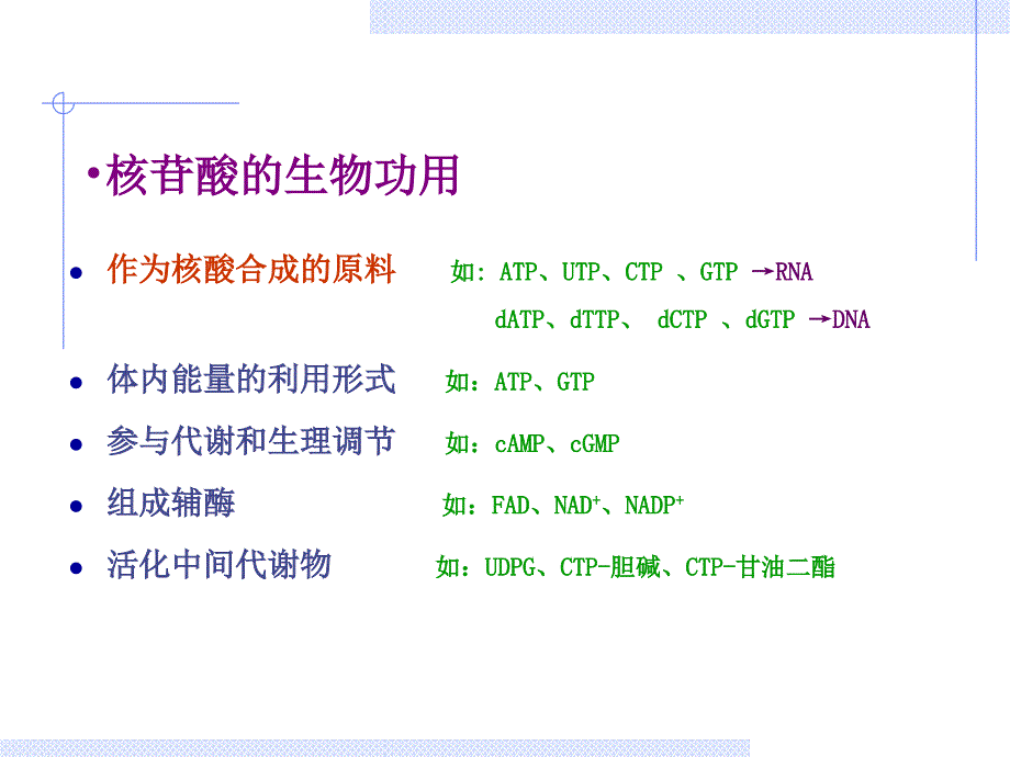 《核苷酸级五曾上》PPT课件_第3页