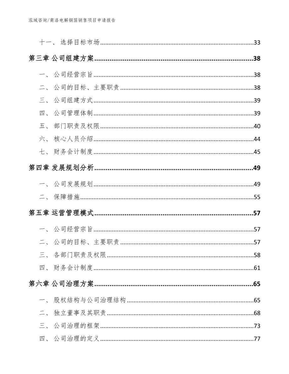 商洛电解铜箔销售项目申请报告_范文_第2页