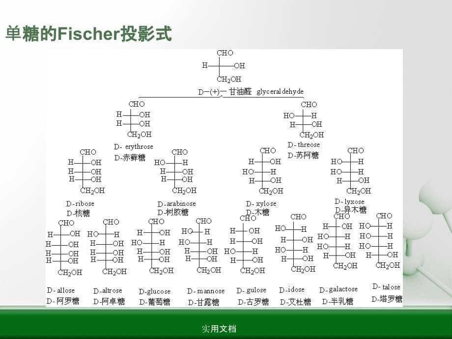 第三章--糖和苷类化合物课件_第5页