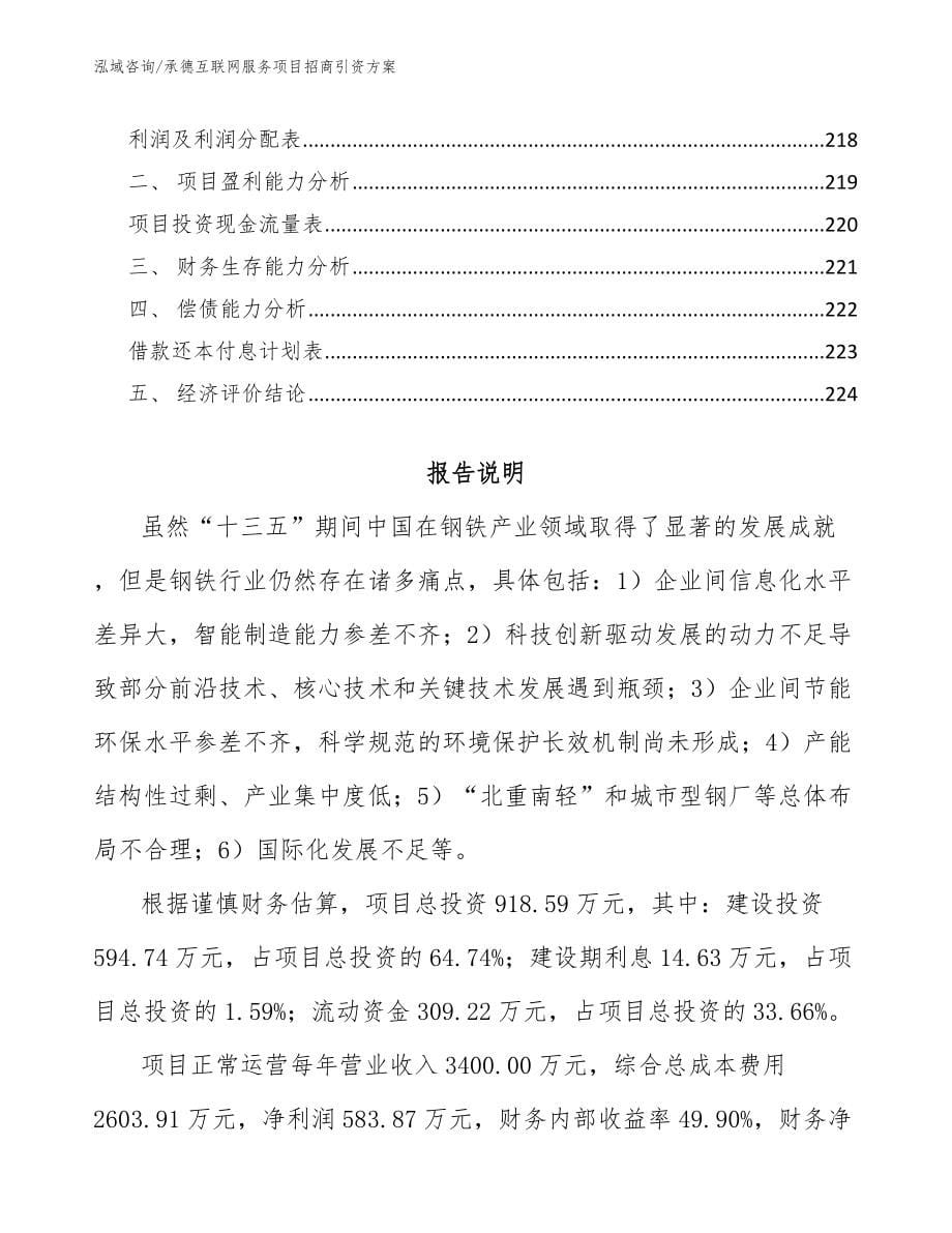 承德互联网服务项目招商引资方案_第5页