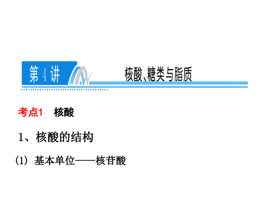 第四讲核酸、糖类与脂质(上课)_第1页