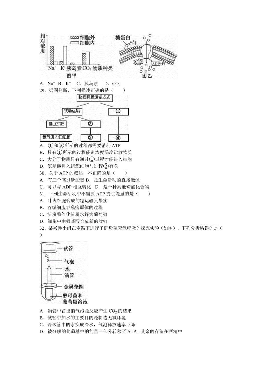 2022年高一下学期开学生物试卷含解析_第5页