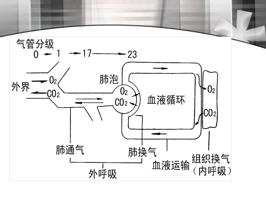 呼吸困难护理观察要点与处置_第4页