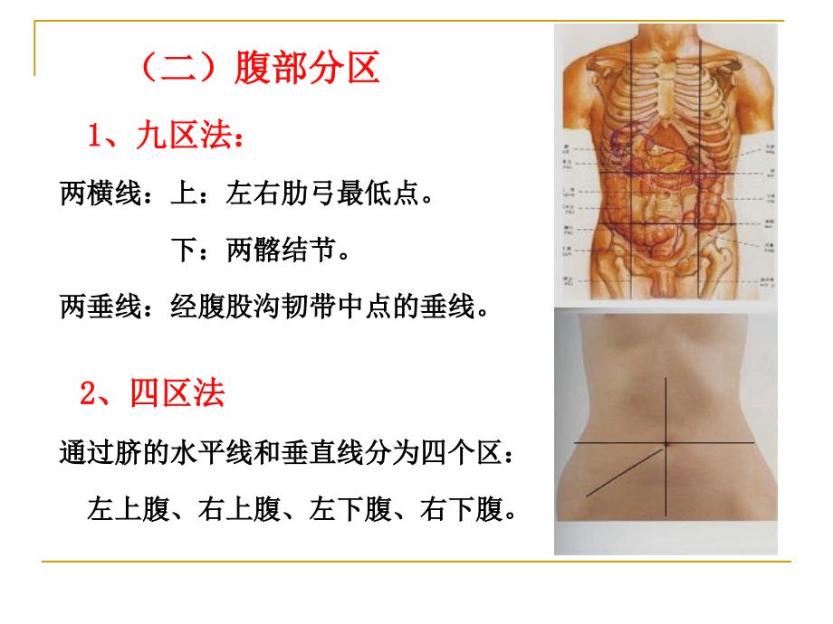 消化系统PPT课件_第3页