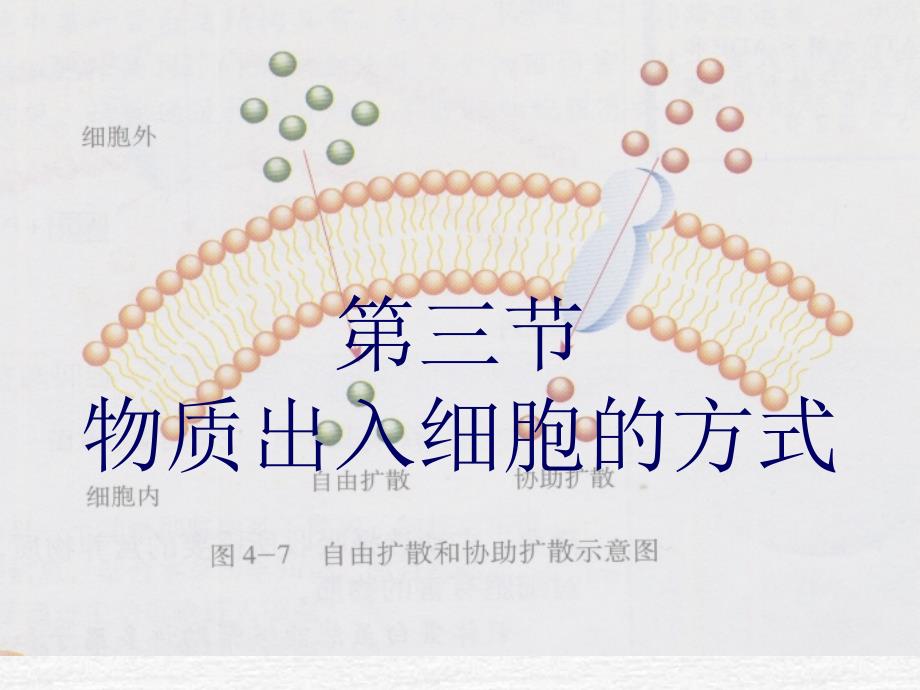 物质出入细胞的方式.ppt_第1页